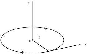 Check spelling or type a new query. Angular Momentum And Principle Of Conservation Of Angular Momentum Sciencetopia