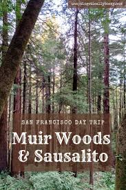 San Francisco Day Trip Muir Woods Sausalito Itinerary San Francisco Day Trip Muir Woods California Muir Woods
