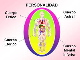 Rubén - CUATRO CUERPOS INFERIORES Por Rubén Cedeño RUBÉN CEDEÑO RESPONDE A  EDGAR SHAISTER Oviedo 20.11.2014 La metafísica busca ayudar a la humanidad  por medio de su educación espiritual usando sus vehículos