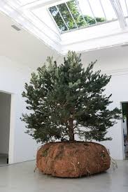 My Selection Of Venice Biennale 2015 National Pavilions Venice Biennale China Art Arts Management