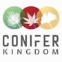 Conifer from www.coniferkingdom.com