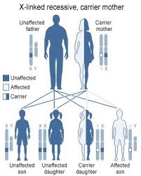 Image result for G6PD Deficiency