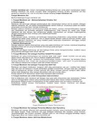 3 berikut ini fungsi membran sel secara lengkap membran sel merupakan sebuah fitur yang dimiliki seluruh jenis sel yang dimiliki manusia yang berfungsi sebagai pemisah antara daerah dalam. Fungsi Membran Sel