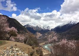 In 1994, the guinness book of world records crowned the yarlung tsangpo grand canyon in the himalayas as the world's longest and deepest canyon. Yarlung Tsangpo Schlucht Reisefuhrer Und Reisehinweise