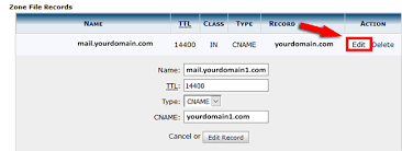 How To Edit Or Delete Dns Records In Cpanel Domainking Ng