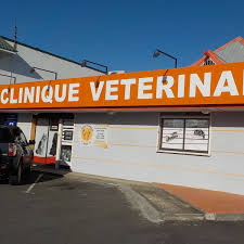Clinique Vétérinaire Ste-Marie