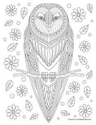 Pin by melanie casino on eulen pinterest. 270 Owl Coloring Pages For Adults Ideas In 2021 Owl Coloring Pages Coloring Pages Owl