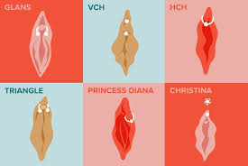 These piercings pass through the hairless folds of skin on the back side of the thicker outer labia (labia minora) that surround the vaginal opening. C5bljufcdeenfm