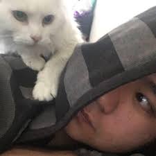 Storm Point mini map 👀