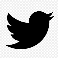 738 transparent png illustrations and cipart matching transparent background. Twitter New Logo On Transparent Background Png Similar Png