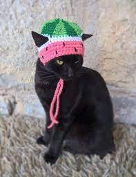 Sunflower Hat For Cat Knitted Sunflower Pet Costume Cat Etsy In 2021 Pet Costumes Cat Hat For Cat Cat Outfits Pets