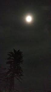 Flare bulan bintang gacha kastil. Gambar Isi Langit Hal Ini Terbukit Ketika Rasulullah Saw Melakukan Miraj Ke Langit Ketujuh Beliau Sempat Bertemu Dengan Tata Surya Langit Gambar Pemandangan