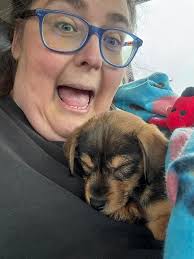 Chiweenie's second birthday celebration