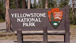 The more questions you get correct here, the more random knowledge you have is your brain big enough to g. 15 Things You Might Not Know About Yellowstone National Park Mental Floss