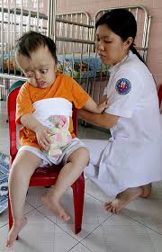 Agent orange/dioxin use in vietnam: 11 08 2011 Hintergrund Agent Orange Und Dioxin Tageszeitung Junge Welt