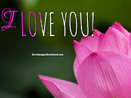 Awesome cute love flower wallpaper download. I Love You Wallpapers Free Download Flower Images Good Morning 1024x768 Wallpaper Teahub Io