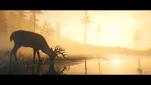 Be respectful towards other community members. In Red Dead Redemption 2 Geritten Wie Erzahlt Ein Western Literaturcafe De