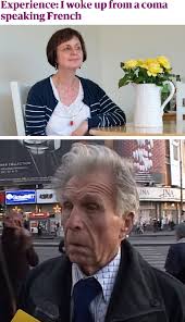 Caz ieșit din comun la ip cahul. Stefan Cel Meme Stiri De Ultima Ora Facebook