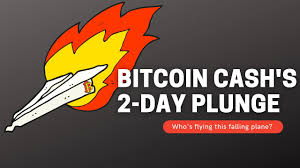 Bitcoin cash is a cryptocurrency that is a fork of bitcoin. Bitcoin Cash S 2 Day Plunge Who S Flying This Falling Plane Anyway Elliott Wave International