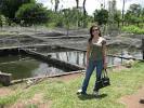 Backyard Catfish Fish Farming