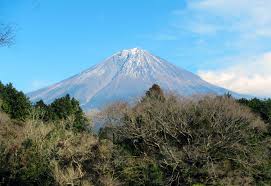 Fujinomiya Day Trip For Those Who Want To See It All