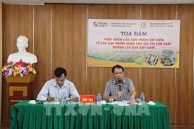 Tìm giải pháp nâng cao hiệu quả sản xuất ngành lúa gạo