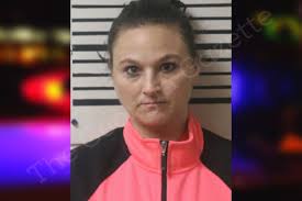 Ashley Sweat — Toombs County Jail Bookings