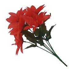 We did not find results for: 3 X Xmas Artificial Silk Flower Poinsettia Christmas Bunch Bush Red 7 Heads Per Bunch By Silk Flowers Buy Online In Guernsey At Guernsey Desertcart Com Productid 50102194