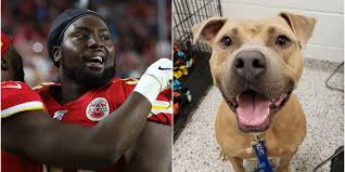 Why go to a dog breeder, cat breeder or pet store to buy a dog or buy a cat when you can adopt? Super Bowl Chiefs Derrick Nnadi Paid 100 Dog Adoption Fees After Win Business Insider