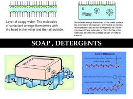 Why is organic soap better than conventional soap? Soap Vs Detergents