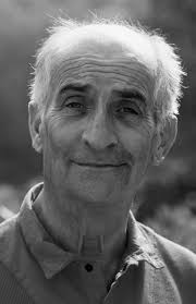 Before becoming famous comic, was only an average actor of theater and film roles. Louis De Funes Hollywood Stars Classic Hollywood Actors