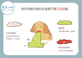 狗狗吐膽汁- apollosquiver.com