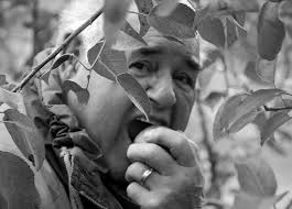 Happy Father's Day. Today I'm thinking about the legacy my father left in  me, the quiet lessons, the strength, the character. This poem is my way of  honoring him. I love you