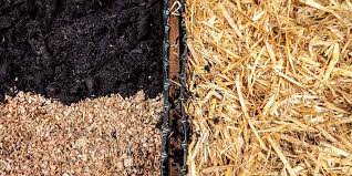 10% coupon applied at checkout. How To Grow Mushrooms Outdoors With A Mushroom Bed Grocycle