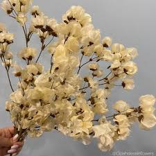 We did not find results for: Beautiful Preserved Orange County Wholesale Flowers Facebook
