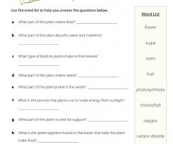 Displaying 72 questions associated with capsule. 67 Free Earth Day Earth Hour Worksheets