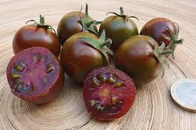 We continue to add details and photos as they become available. Black Zebra Cherry Lilatomate