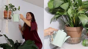 While plant watering globes can be a good way to keep your plants steadily watered, they're no substitute for taking the time to care of your plants. Bottom Watering Houseplants How To Water Indoor Plants Bottom Watering Method Youtube