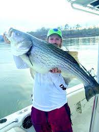 I love to fish and to share my passion for fishing with others. Big Winter Striped Bass On Smith Lake