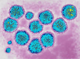 A Hepatitis C Drug S Lower Cost Paves Way For Expanded Treatment Shots Health News Npr