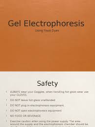 Mix to evenly distribute food color in sugar solution. Electrophoresis Food Dye Agarose Gel Electrophoresis Gel Electrophoresis