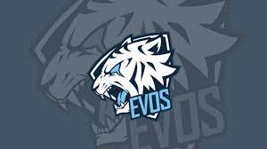 Karena demikian disaat anda pakai smartphone yang kita miliki tidak akan bosan, maka dari itu untuk pemilik smartphone dapat anda gunakan. Evos Esport Wallpapers Wallpaper Cave