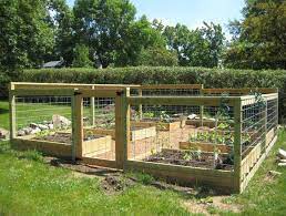 I had a vertical veggie garden built into the sides of our chicken run, but it was a poor set up. Container Garden Plans Home Gardening Design Ideas With Beautiful Raise Vegetable Garden Raised Beds Raised Bed Vegetable Garden Plans Garden Layout Vegetable