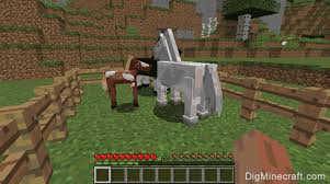 Today horse donkey breed channel share minecraft best horse breeding full open video at stallions farm.#horsedonkeybreed #horsebreeding #minecraft #stallion. How To Breed Horses In Minecraft