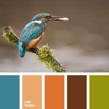 We did not find results for: Green And Orange Page 5 Of 7 Color Palette Ideas