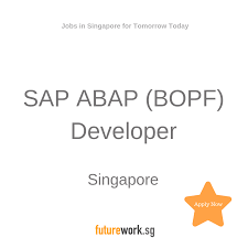 Sap Abap Bopf Developer Salary Negotiable Expenses Sap Abap Bopf Developer Required For A 2 Month Contract Opportunity 50 R Job Development How To Apply