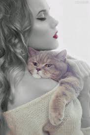 Secret Love Photo Sevimli Kediler Resimler Hayvan
