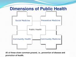 Mental dimension means the cognitive aspect of the brain. Dimensions Of Public Health Ppt Download