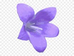 Free Vector Fleur Clip Art Larkspur Png Transparent Png 490779 Pinclipart This tool replaces any solid color and its close color tones in a portable network graphics (png) photo or picture with transparent. free vector fleur clip art larkspur