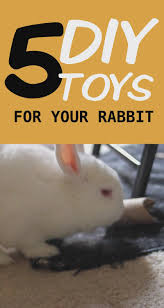 5 diy easy rabbit chew toys to make (a. 5 Diy Easy Rabbit Toys To Make Video Diy Bunny Toys Diy Toys For Rabbits Diy Bunny Cage